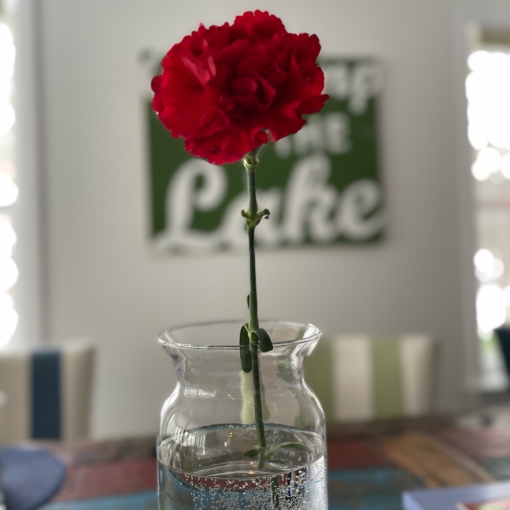 Meet your Posher, Daniela